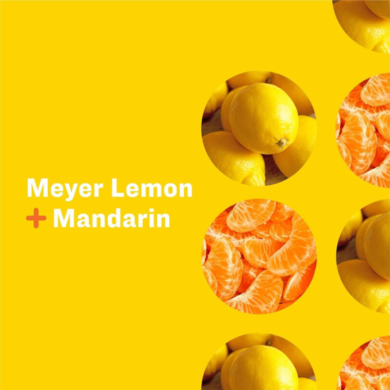 Sabonete Líquido Para Mãos Everyone Everyone Meyer Lemon And - Image 4