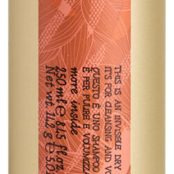 Shampoo Seco Davines This Is A Invisible 250ml