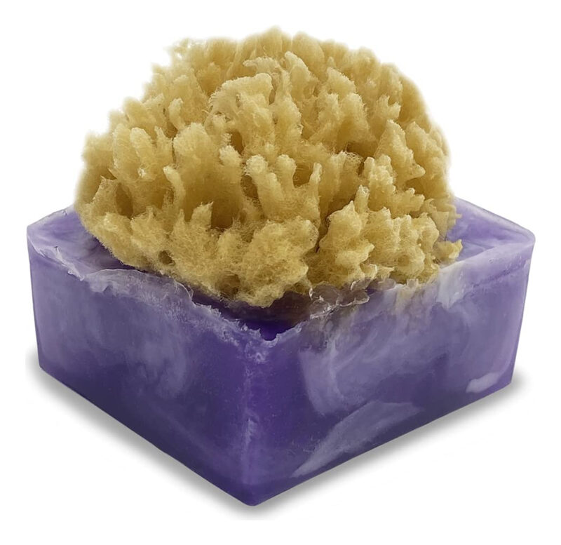 Sabonete Em Barra De Esponja De Lavanda E Mirtilo Primal Ele