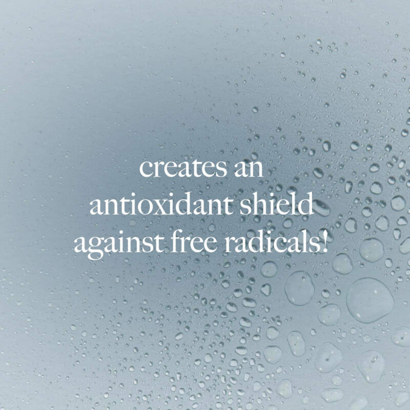 Tônico Dermalogica Antioxidante Hydramist Antienvelhecimento - Image 6