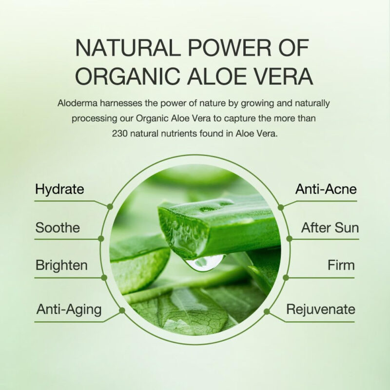 Tônico Facial Aloderma Aloderma Aloe Vera 91% Orgânico Sem Á - Image 6