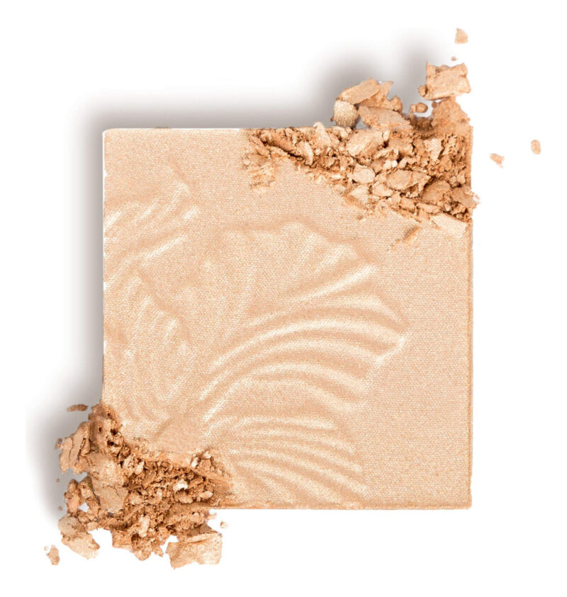 Pó De Destaque Wet N Wild Megaglo Brown Golden Flower - Image 2