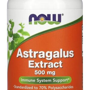 Astragalus Erva Chinesa 500mg Now Foods 90vcaps