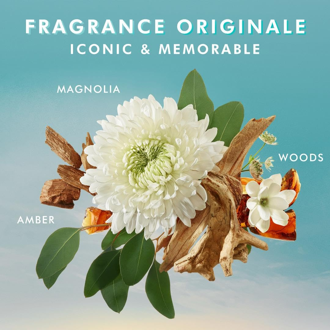 Loção Corporal Moroccanoil Fragrance Originale 360ml - Imagem 3