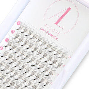 Extensões De Cílios Allove Premade Fans 6d 0,07 D Curl 9mm