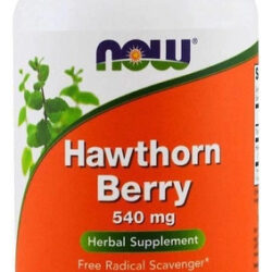 Hawthorn Berry (crataegus) 540mg - Now Foods - 100 Cápsulas