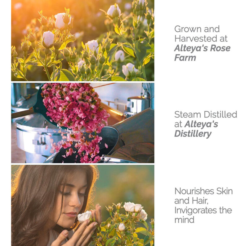 Tônico Facial Alteya Organics Água De Rosas Branca 250ml Org - Image 3