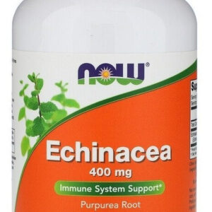 Equinacea Echinacea 400 Mg 250 Cápsulas Now Foods - Imp Eua Sabor Sem Sabor