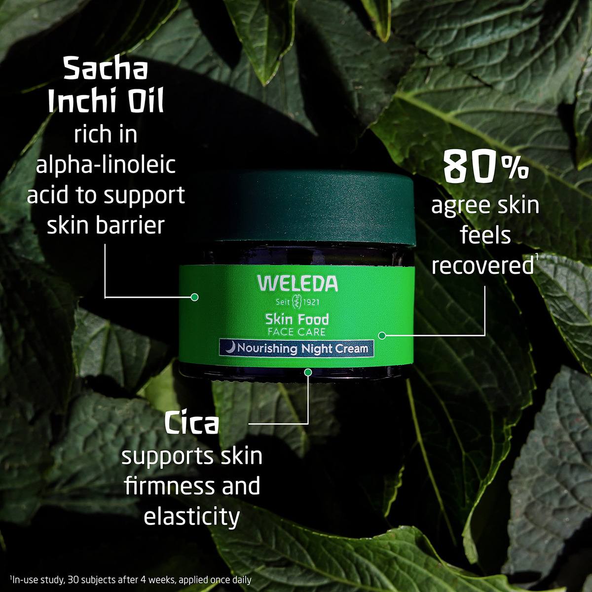 Creme De Noite Weleda Skin Food Face Care 40ml Com Sacha Inc - Imagem 2
