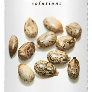 Now Foods Óleo De Castor 473ml Castor Oil 100% Puro Sabor Sem Sabor