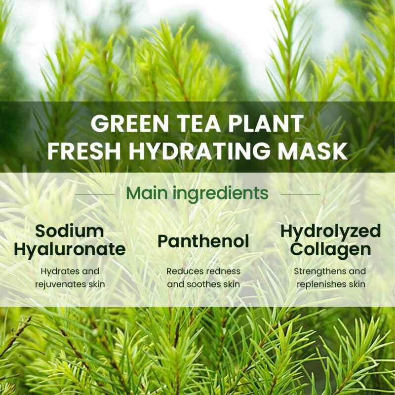Máscaras De Lençol Kaely Tea Tree Hydrating Para Todos Os Ti - Image 4