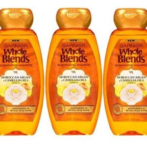 Shampoo Iluminador Garnier Hair Care Whole Blends