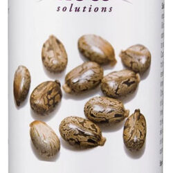 Óleo De Castor 473ml Now Foods Castor Oil 100% Puro