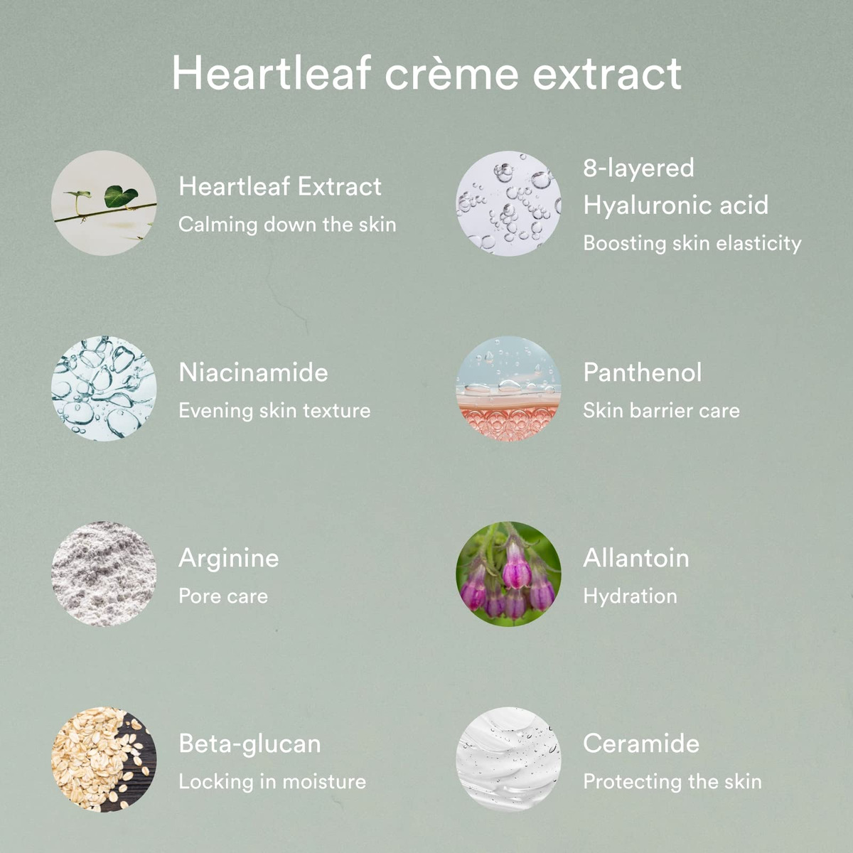 Creme Hidratante Abib Heartleaf Calming 75ml Para Pele Seca - Imagem 3