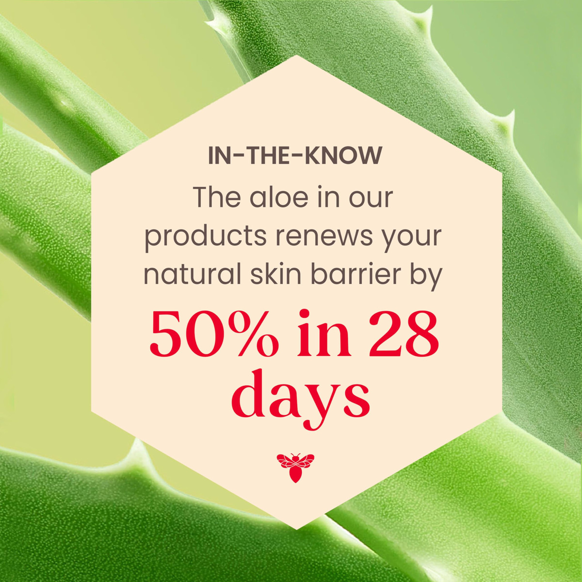 Loção Facial Protetora Solar Burt's Bees Spf 30 Calming 50ml - Imagem 7