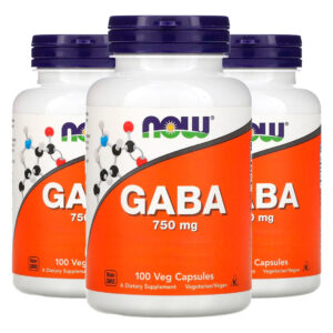 Ácido Gaba 750mg 100 Veg Cáps Importado 3un Now Foods