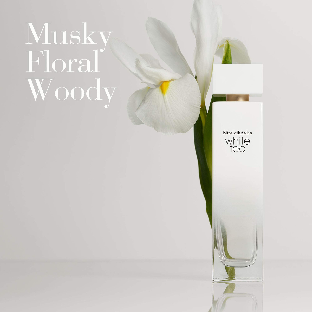 Loção Corporal Elizabeth White Tea Pure Indulgence 400ml - Imagem 3