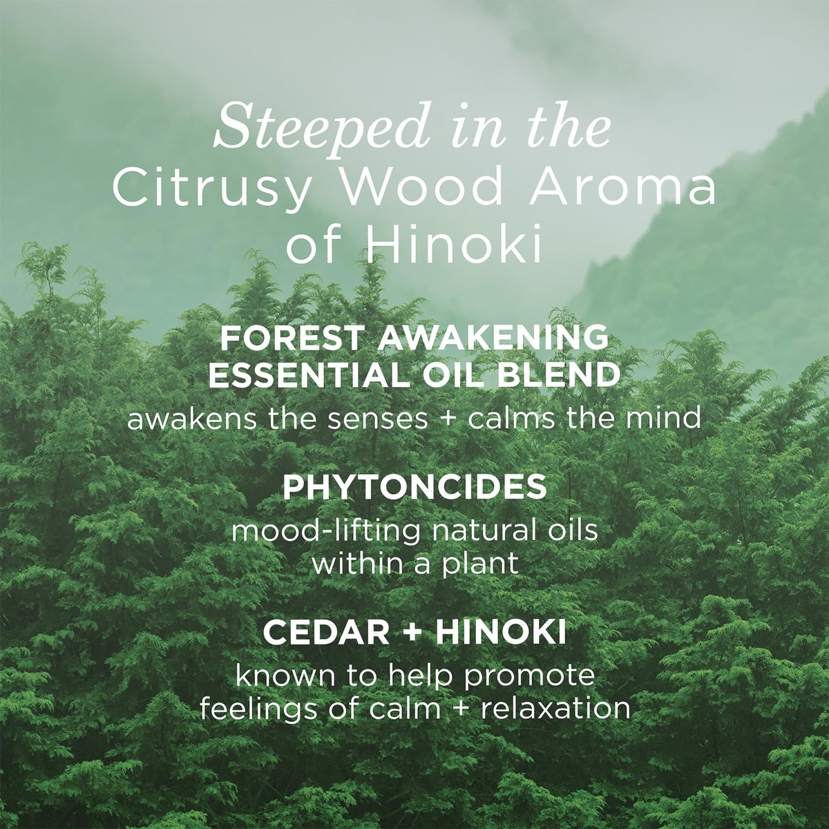 Óleo Corporal Tatcha Forest Awakening Hinoki 100ml | 3,4 Fl - Imagem 4