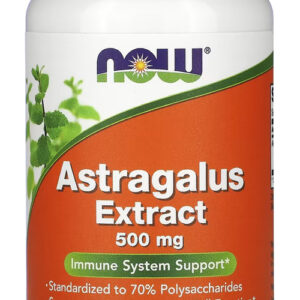 Astragalus Erva Chinesa 500mg Now Foods 90vcaps Importado