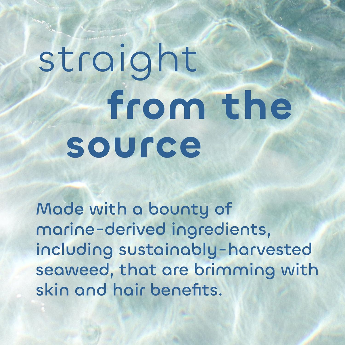 Esfoliante Corporal Seaweed Bath Co. Calm Vetiver Gerânio 18 - Imagem 4