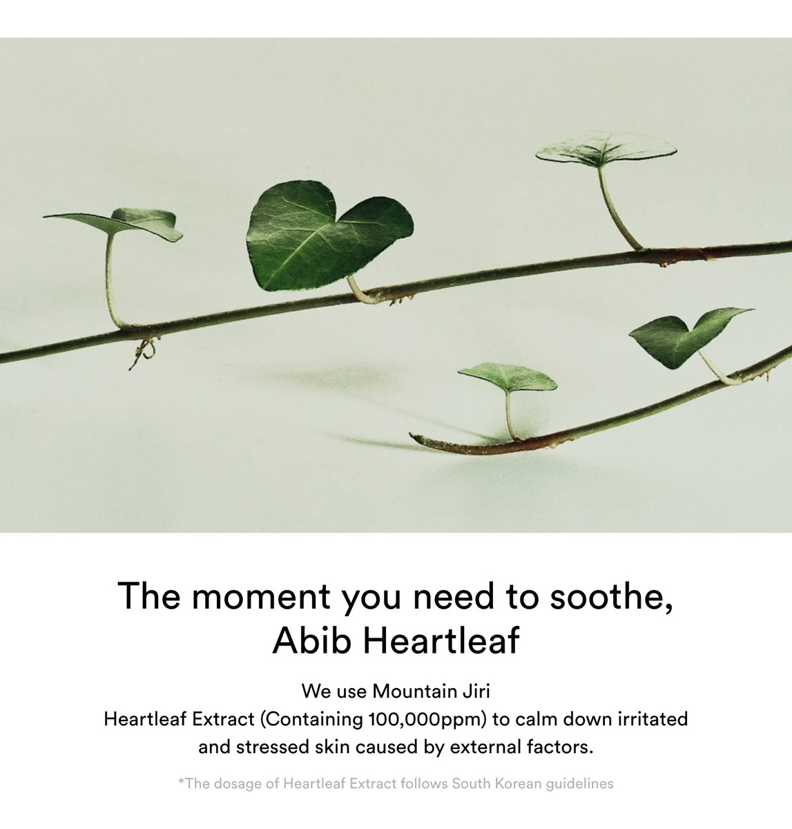 Creme Hidratante Abib Heartleaf Calming 75ml Para Pele Seca - Imagem 5