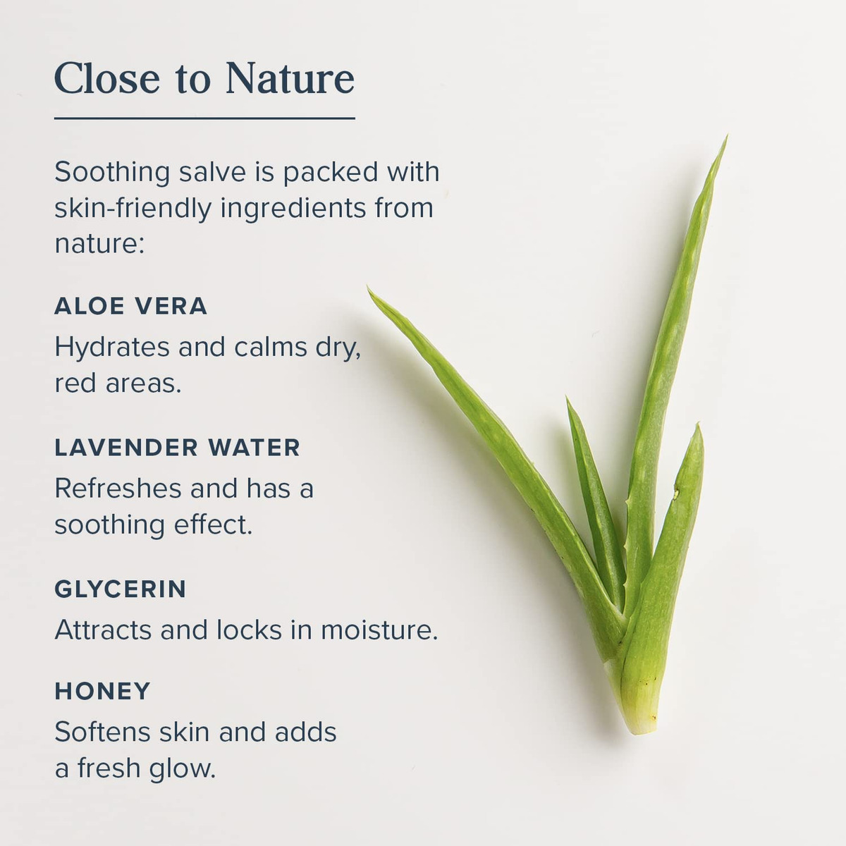 Skin Salve Heritage Store Prata Coloidal Com Aloe Vera 60ml - Imagem 5