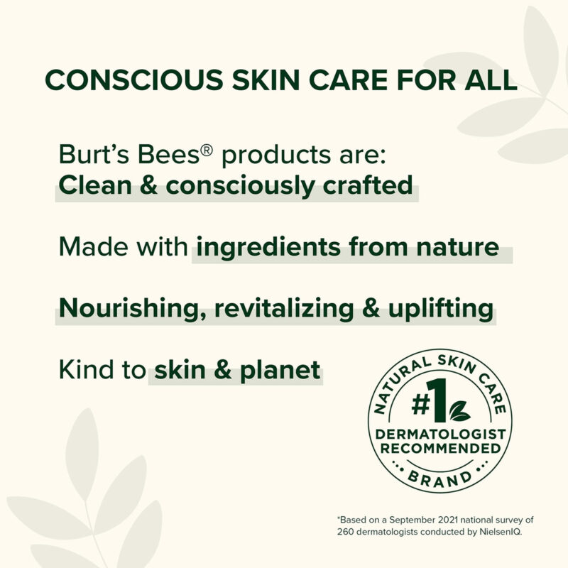 Água Tonificante Micelar Burt's Bees Rose 240ml - Image 4