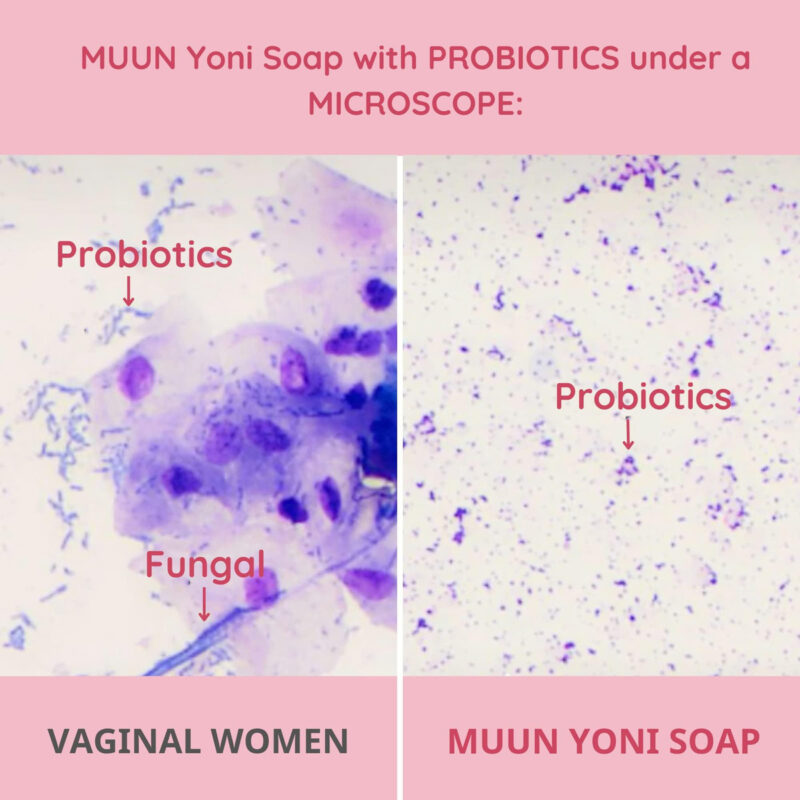 Pacote Yoni Soap Bar Muun Com 3 Probióticos De Equilíbrio De - Image 4