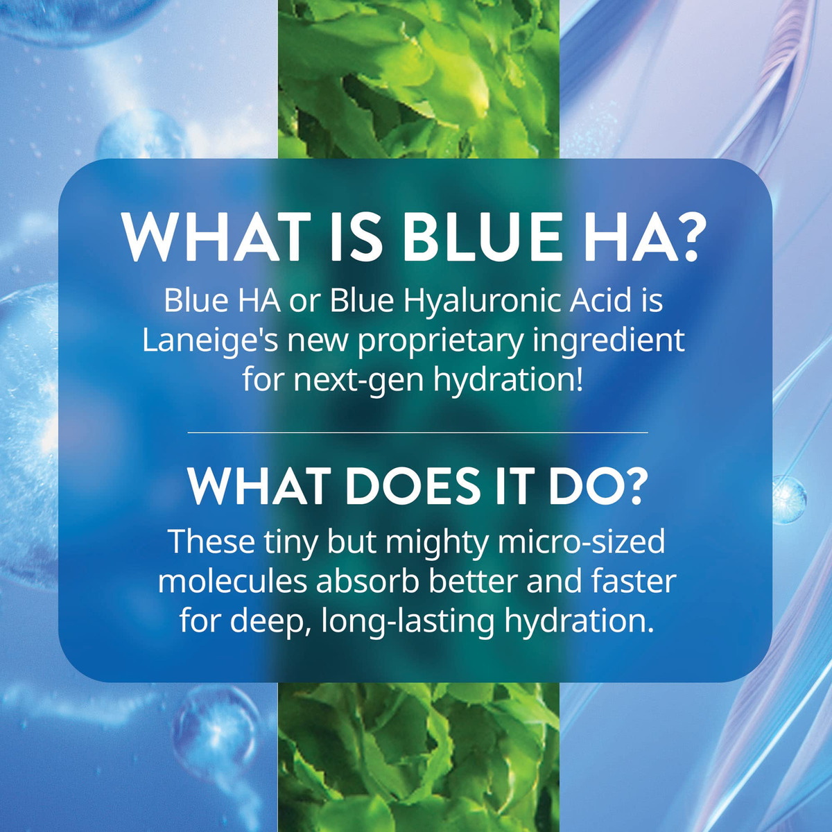Gel Hialurônico Hidratante Laneige Water Bank Blue 50ml - Imagem 5