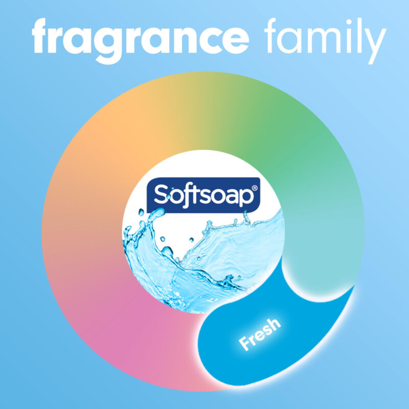 Sabonete Líquido Para Mãos Softsoap Fresh Breeze 225 Ml (pac - Image 9