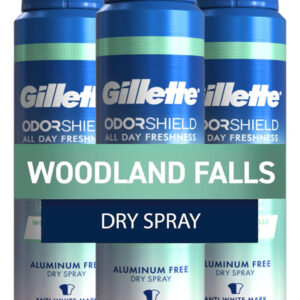 Desodorante Gillette Aluminium Free Dry Spray Woodland 125ml