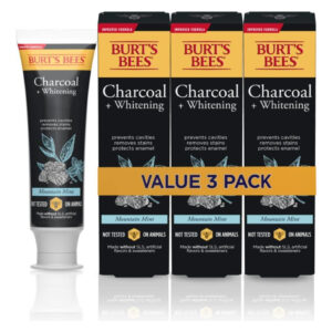 Pasta De Dentes Burt's Bees Charcoal Com Flúor Mountain Mint