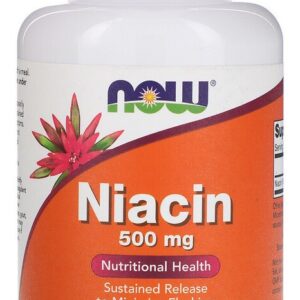 Niacina 500mg Now Foods Niacin Vitamina B-3 250 Tablets Sabor Não Informado