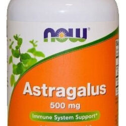 Astragalus 500mg Now Foods 100 Veg Cápsulas Importado Eua