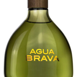 Perfume Puig Agua Brava Colônia Spray 100ml Para Homens