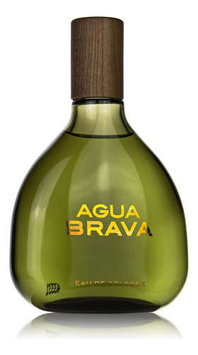 Perfume Puig Agua Brava Colônia Spray 100ml Para Homens
