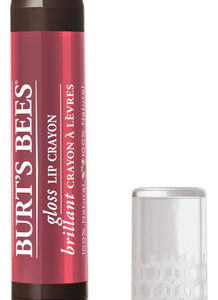Lip Crayon Burt&quots Bees, Brilho Hidratante 100% Natural
