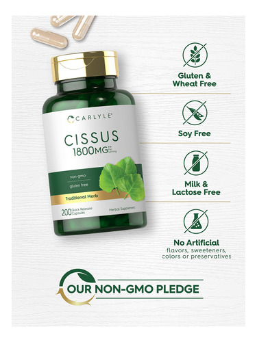 Suplemento Carlyle Cissus Quadrangularis 1800mg 200 Cápsulas - Imagem 4
