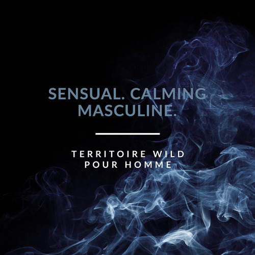 Perfume Territoire Eau De Parfum Wild Para Homens - Imagem 2