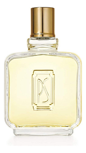 Perfume Paul Sebastian Colônia Para Homens 120ml - Imagem 2