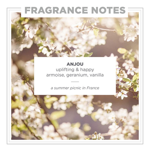 Perfume Zents Attar Roll-on Anjou Fragrância 10ml Clean Luxu - Imagem 3