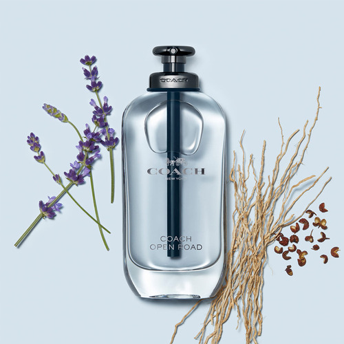 Perfume Coach Open Road Eau De Parfum 100ml Para Mulheres - Imagem 3