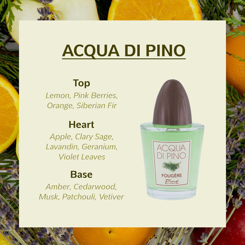 Perfume Pino Silvestre Acqua Di Pino Fougere Eau De Toilette - Imagem 2