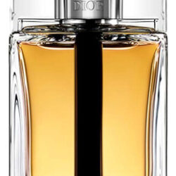 Perfume Dior Homme Eau De Toilette 100ml Para Homens