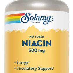 Suplemento Solaray De Niacina Sem Descarga 500 Mg 100 Cápsul