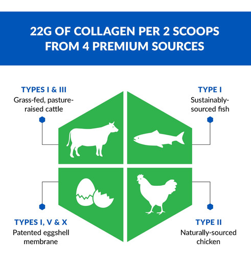 Colágeno Em Pó Biotrust Ageless Multi 5 Tipos De Proteína De - Imagem 4