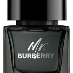 Perfume Burberry Mr Burberry Eau De Parfum Para Homens 100ml
