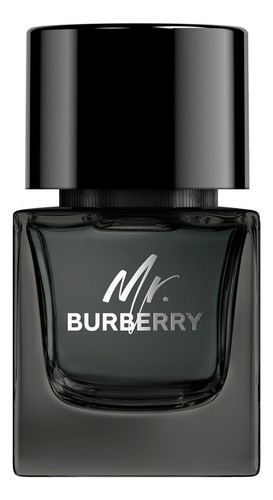 Perfume Burberry Mr Burberry Eau De Parfum Para Homens 100ml