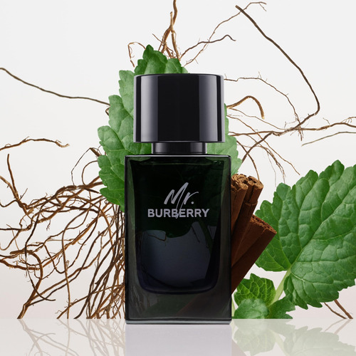Perfume Burberry Mr. Burberry Eau De Parfum 100ml Para Homen - Imagem 2