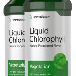 Suplemento Horbaach Chlorophyll Liquid 100mg 960ml 2 Frascos